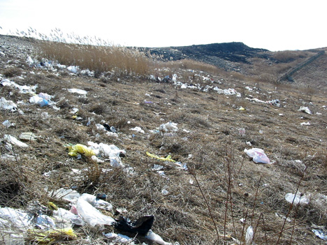 The Albany Dump Up Close, Near The Proposed Expansion 