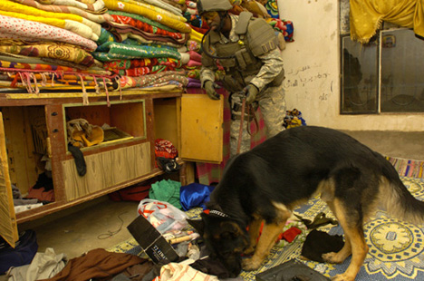 Air Force Staff Sgt. Jerald Harris Searches A House In Hawijah, Iraq