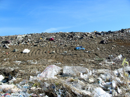 The "Capped" Part Of The Dump Near The Proposed Expansion