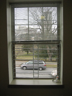 Window With The Now Obligatory Child Protection Grate