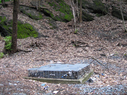 The Stinking Grate In The Ravine In Lincoln Park