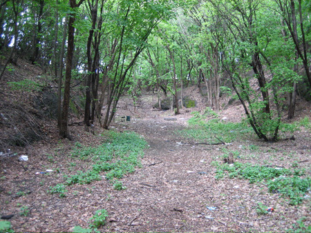 The Ravine, Photo Taken Last Spring