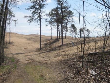 A Short Way Up The Trail