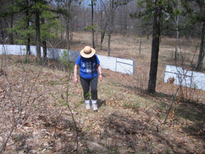 Inside The Butterfly Hill With The Open Fence