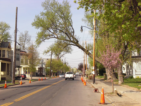 Delaware Avenue