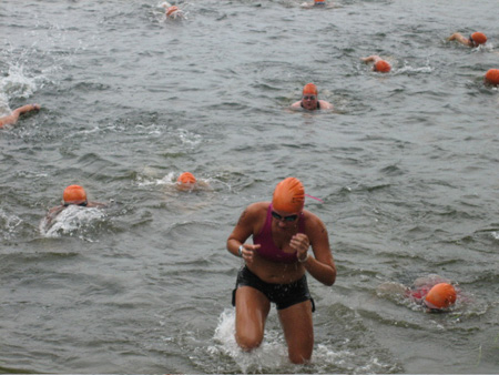 Swimmers Emerging From Rensselaer Lake, Pine Bush Triathlon