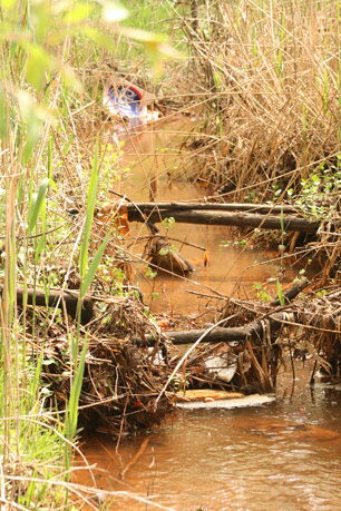 Leachate Tainted Water Running Away To Rensselaer Lake