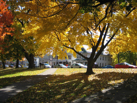 Lincoln Park, Albany, NY