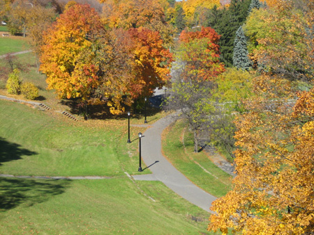 View Down Suicide Hill: Yikes!