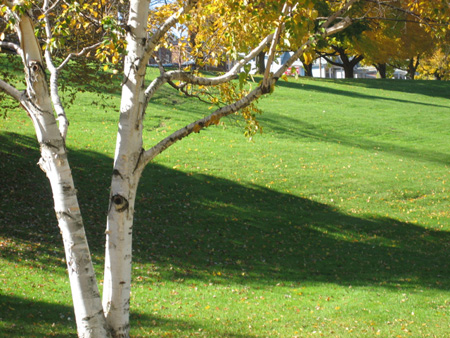 Lincoln Park, Albany, NY