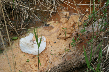 Uncollected Rapp Road Landfill Runoff