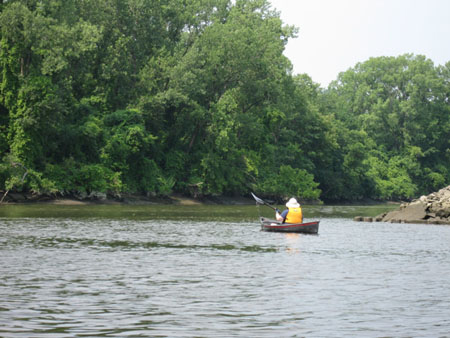 The Wife Navigates The Forest PrimevalThe Normanskill At The Left Of The BoatyardIsland Creek Park Early Morning After A Shower