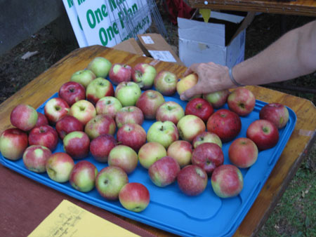 Free Apples For Health At The BNP Table