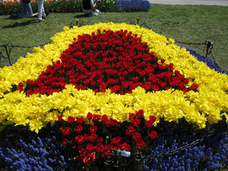Tulips in Washington Park