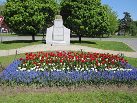 Tulips in Washington Park