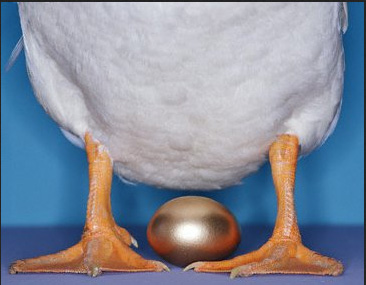 Goose & Golden Egg