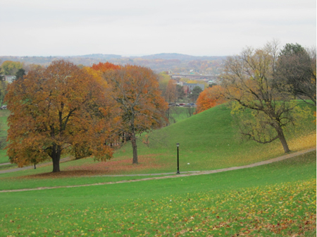 Suicide Hill By S. Hawk Street, Former Site Of Martinville