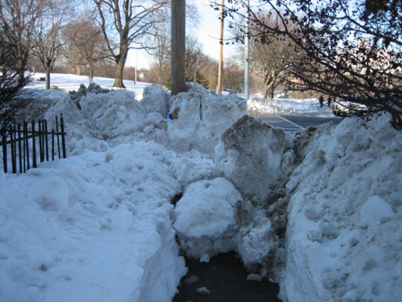 Sidewalk On My Street Carefully Bocked With Ice By A City Crew, Feb. 2007
