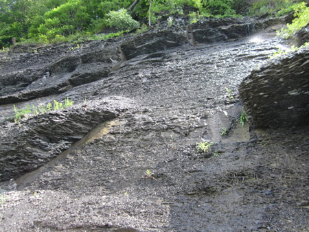 Staghorn Cliffs