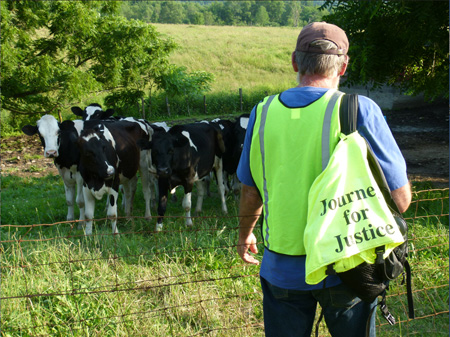 Max Calls The Cows