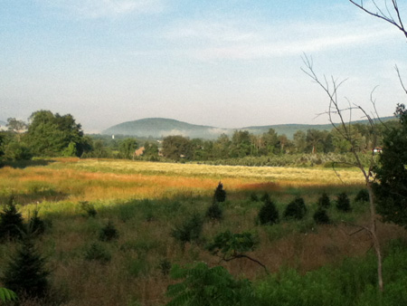 West Of Oneonta In The Morning (Photos For This Day By Mari)