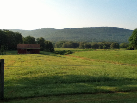 Along Route 7