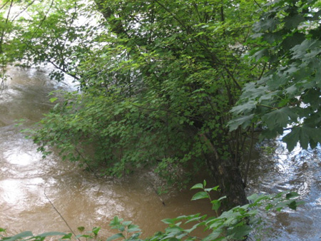 The Strainer Seen From Shore The Following Tuesday