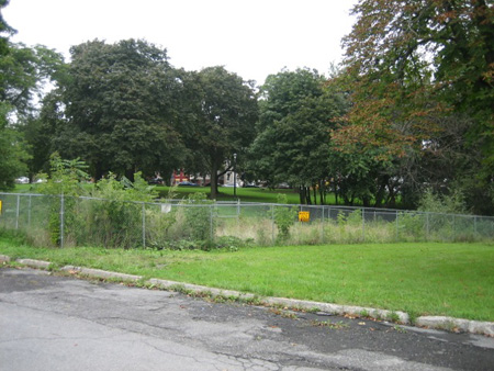 Where The Beaverkill Leaks: The Fenced Off Sinkhole In Lincoln Park