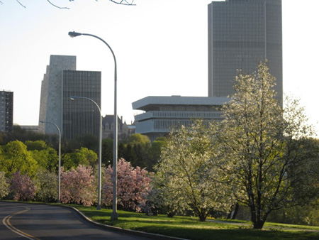 Lincoln Park Last May, Seen From My Street