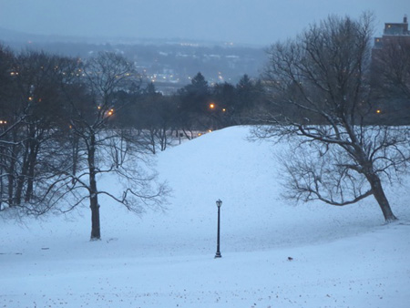 Martinsville Hill, Lincoln Park January Light Snow At Dawn