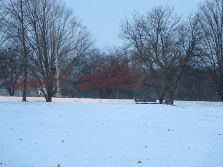 Looking Up At ML King Boulevard, Lincoln Park, January, Snow, Dawn