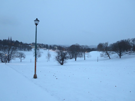 Lampost, Dawn, January, Snow, Lincoln Park