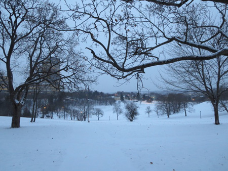 Lincoln Park, Snow, January, Dawn