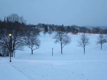 More Bleak Landscape, Lincoln Park In January, Snow At Dawn