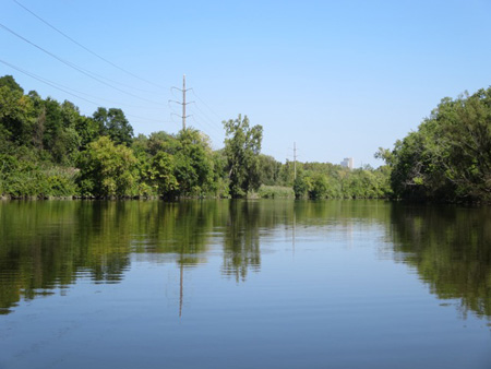 Island Creek Behind The Port Of Albany