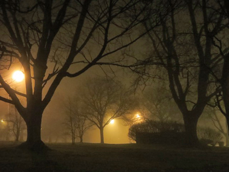 Lincoln Park, Late Autumn, Fog, Night