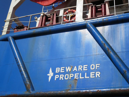 Cargo Ship, Port Of Albany
