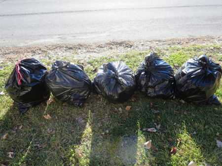 Neatly Bagged Garbage On Catherine Street Waiting For Pickup