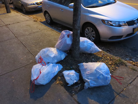 Bags Of Garbage On Morton Avenue Waiting For Pickup