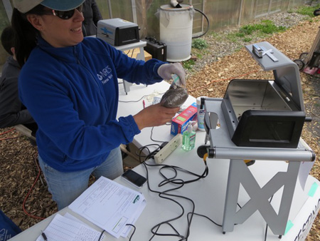 Testing A Soil Sample For Lead