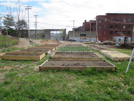 Some Of The Raised Bed Plots