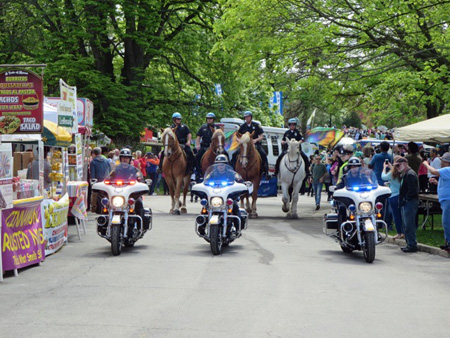 The Tulip Queen Procession Begins To Arrive