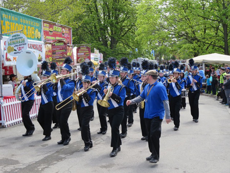The Tulip Queen Procession Begins To Arrive