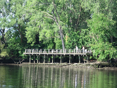 The Fishing Deck At Island Creek Park