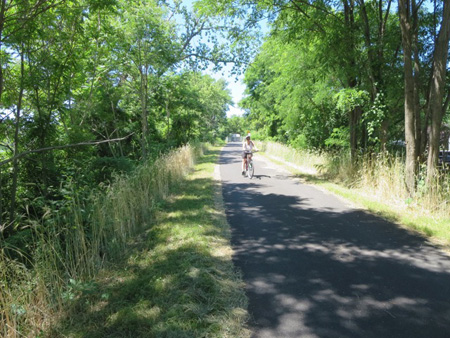 Pleasantly Shady In Albany