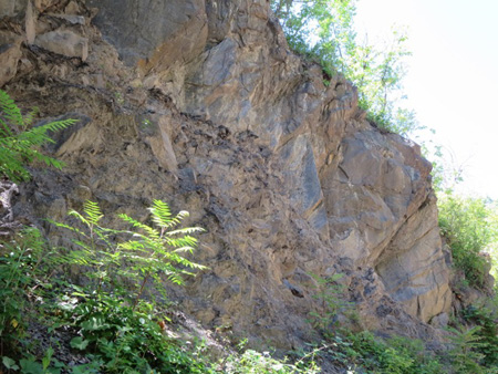 Rock Outcropping In Albany, Probably Cut By Hand