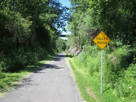 The Albany Rail Trail, 2016