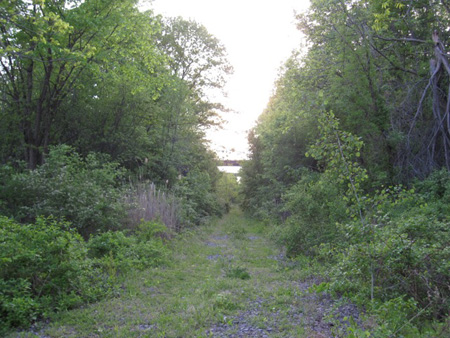 The Rail Trail In 2010, Compare With The Photo Above