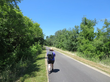 The Rail Trail In Delmar, Nice But Not Much Shade
