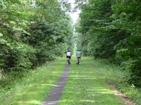 The Rail Trail Becomes One Rut As You Head Away From Vorheesville